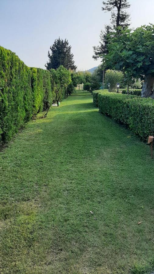 Casale Battaglini Bed and Breakfast Castelnuovo Cilento Εξωτερικό φωτογραφία