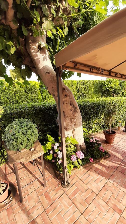Casale Battaglini Bed and Breakfast Castelnuovo Cilento Εξωτερικό φωτογραφία